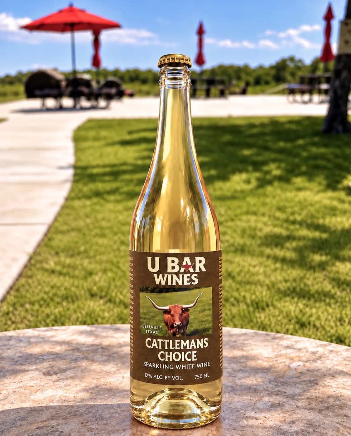 U-Bar Bellville Texas Cattlemans Choice